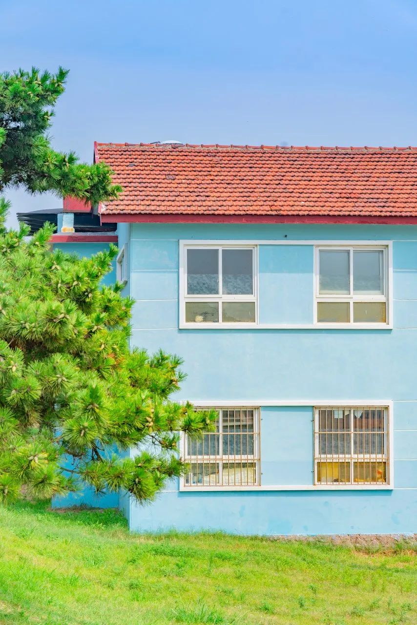 青岛市 超越苏州、成都！成了国内最宜居城市NO.1，这座海滨老城凭什么？