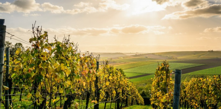 |在大公司工作，外企职场十二年心得，或许对你有用