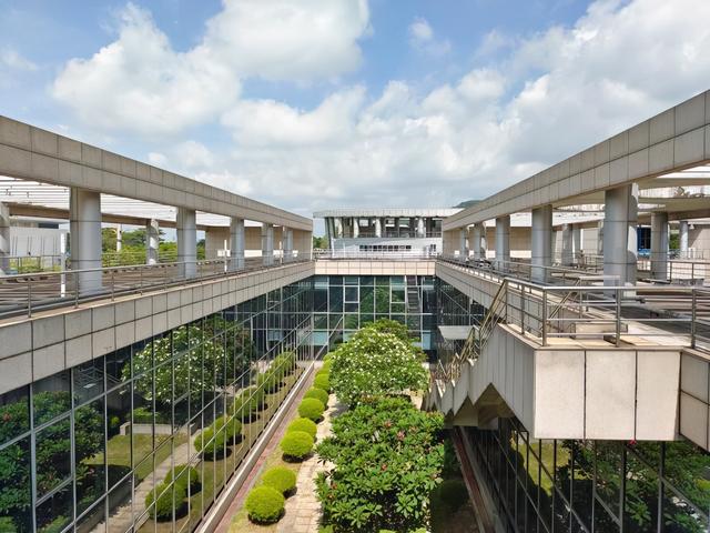 机械键盘|或许你更喜欢骁龙870？次旗舰手机性能同样强悍