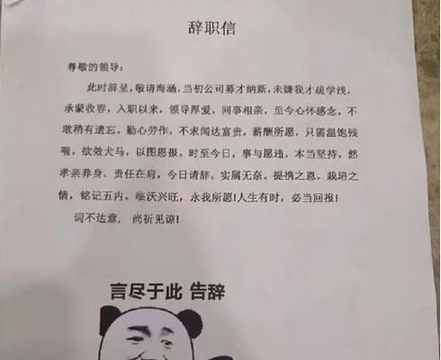 家有二宝育儿|00后“辞职信”火了,离职报告回怼老板句句戳心,90后自叹不如