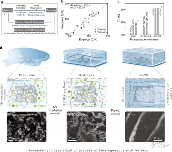 自然·通讯 《自然·通讯》用PEGDA水凝胶研究质子开关分子磁电