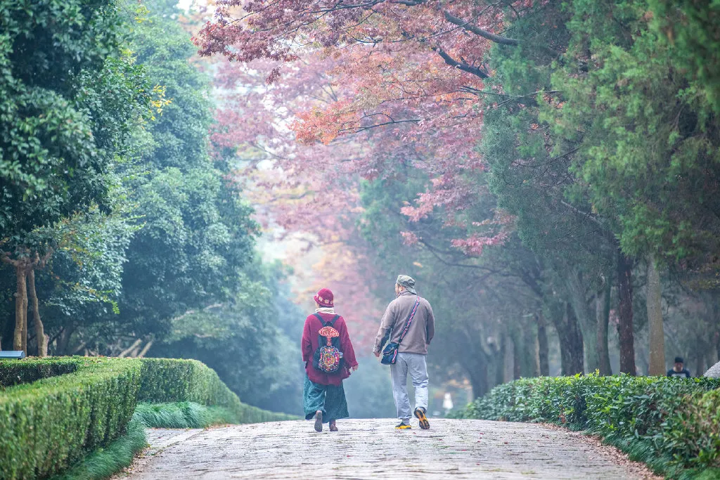 一马平天下 南京的大爷大妈，文武双全！