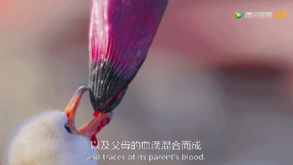 余男|开年第一部神作，狂野又震撼