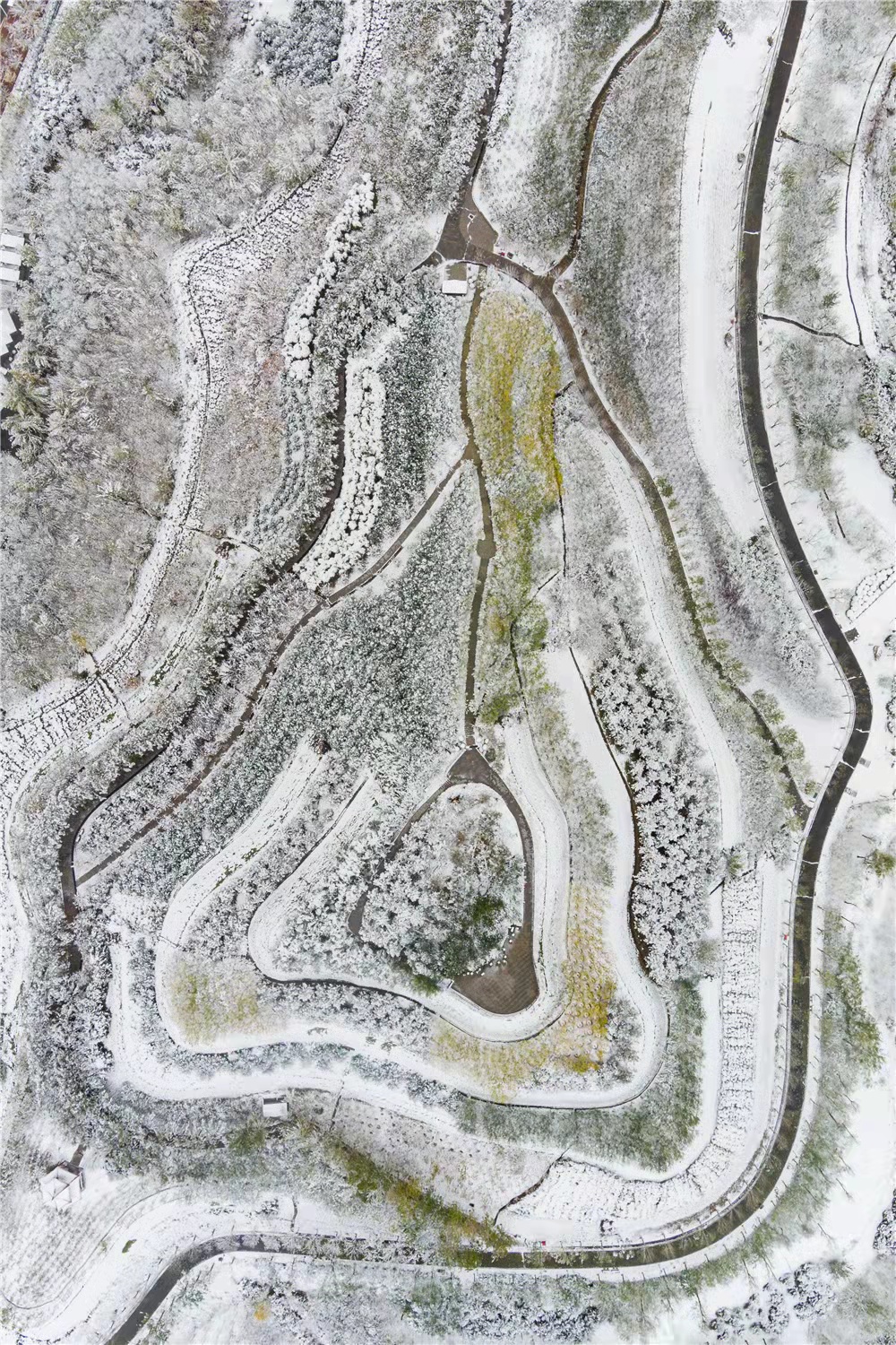 |一个男人老了的标志是什么？