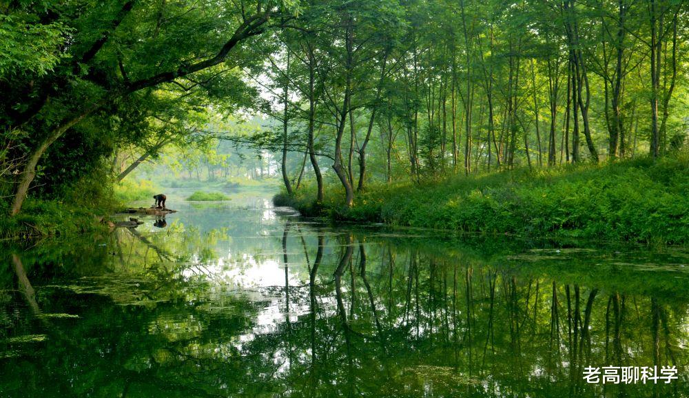 暗黑2 罕见，仅此1只！浙江桐庐发现天目臭蛙，全球2个分布点都在我国！