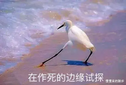 慢慢来的脚步|看了张哲瀚的“道歉”，我笑了