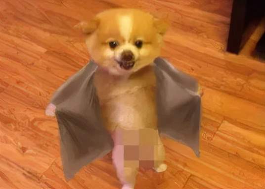 嘉南传|沫子、呆妹儿深V装大小Battle，叶知秋见状大秀身材碾压众人