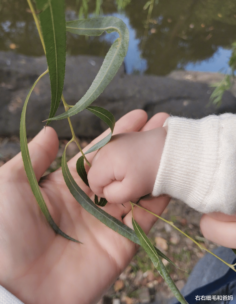 谢娜|谢娜发文总结2021，三个女儿齐出镜，曾备孕6年36岁高龄怀双胞胎