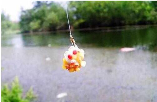 饵料|野钓时小鱼闹窝时怎么样？怎么样避开小鱼让饵料直达水底钓大鱼。