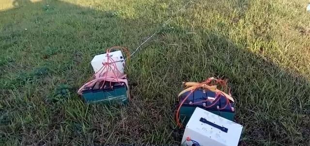 阳光语言矫正说|自从禁止电鱼之后,有人又从蚯蚓身上发现商机,具体是怎么回事?