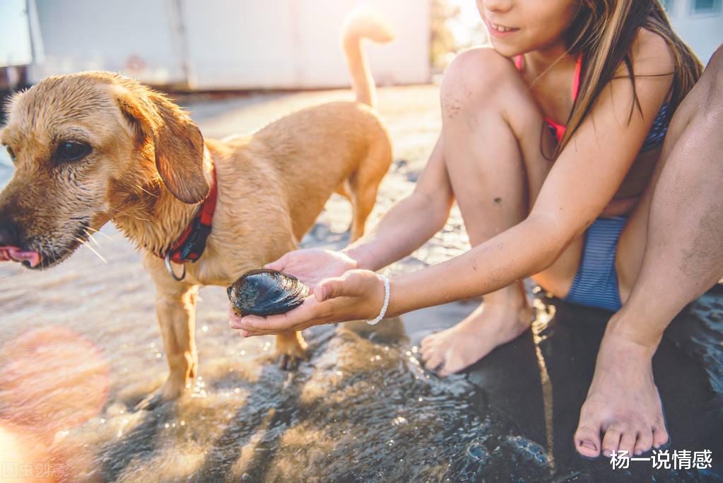 杨一说情感 世界上最执着的爱,感恩的狗,诠释了什么才叫忠诚,令人叹服