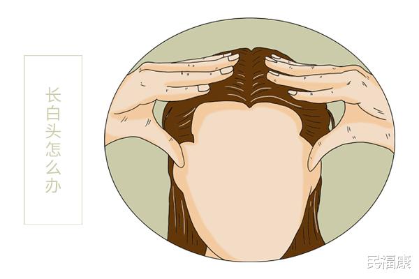 白发|年纪轻轻为何就长白头发了？长白头发的人不容易得癌，是真的吗？