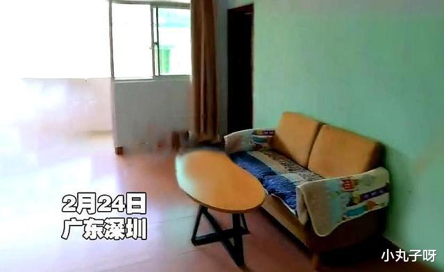 小丸子呀 广东深圳:90后男子退租,女房东验房时哽咽:“住我这一年多了!”