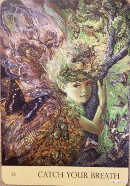 神叨酱塔罗馆|神叨酱：7.29灵运势指引