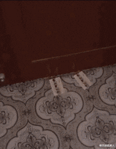 每天都是潮人|神回复: 在战场上战士是怎样知道自己枪里还有多少子弹的？