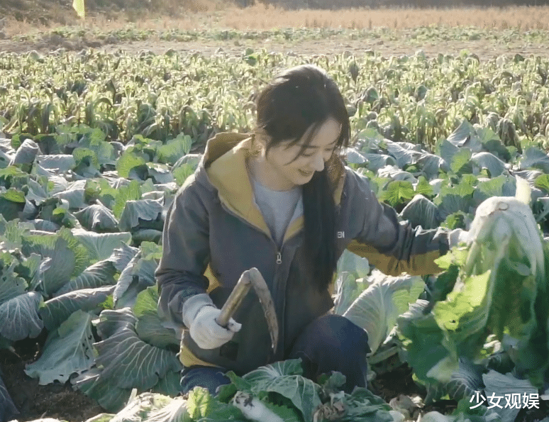 赵丽颖|赵丽颖录《拜冰7》，侧脸生图美上热搜，披肩和保温瓶却成亮点