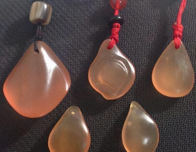 |青鱼的悲哀：吃不了玩不起，因无节制的野蛮生长而沦为“废柴”