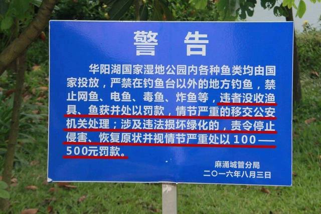 辅警|遇到执法不让钓怎么办?可从容应对不罚款,这几点要避免