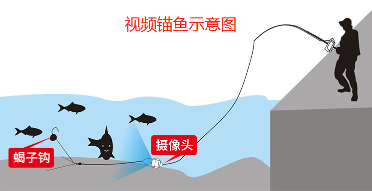 山东省|?新型捕鱼神器走红网络，廉价高效却遭钓友抵制，四川山东多地禁用