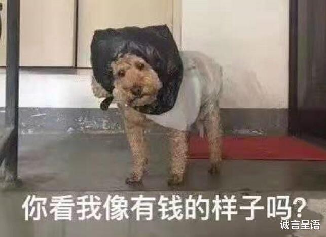 书店|“双减”之下，补课机构“凉了”，新的补课形式也兴起了