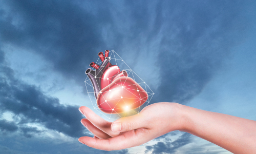 人工心脏|医疗器械皇冠上的宝石——人工心脏