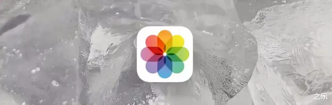 iPhone|iPhone相册隐藏的小功能，来看看