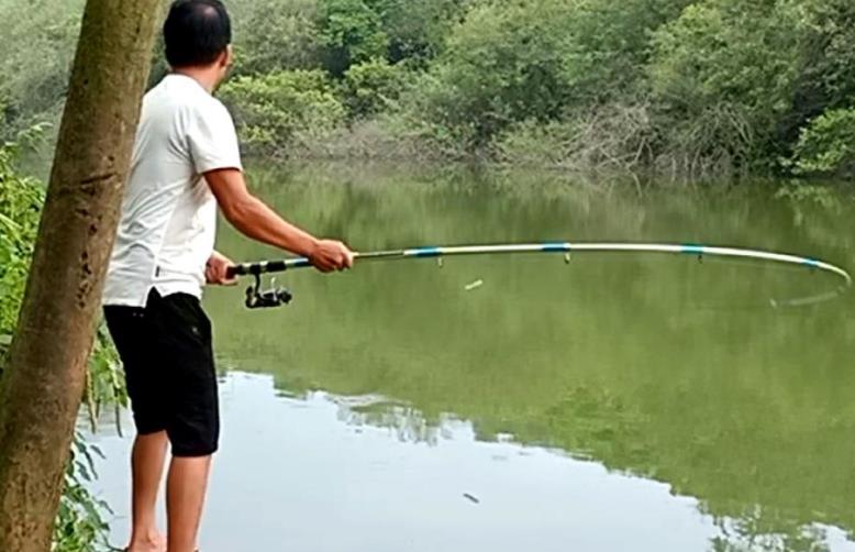 饵料|鲢鳙鱼再“狡猾”，遇到这百试不爽的钓法，还不是照样乖乖上岸？