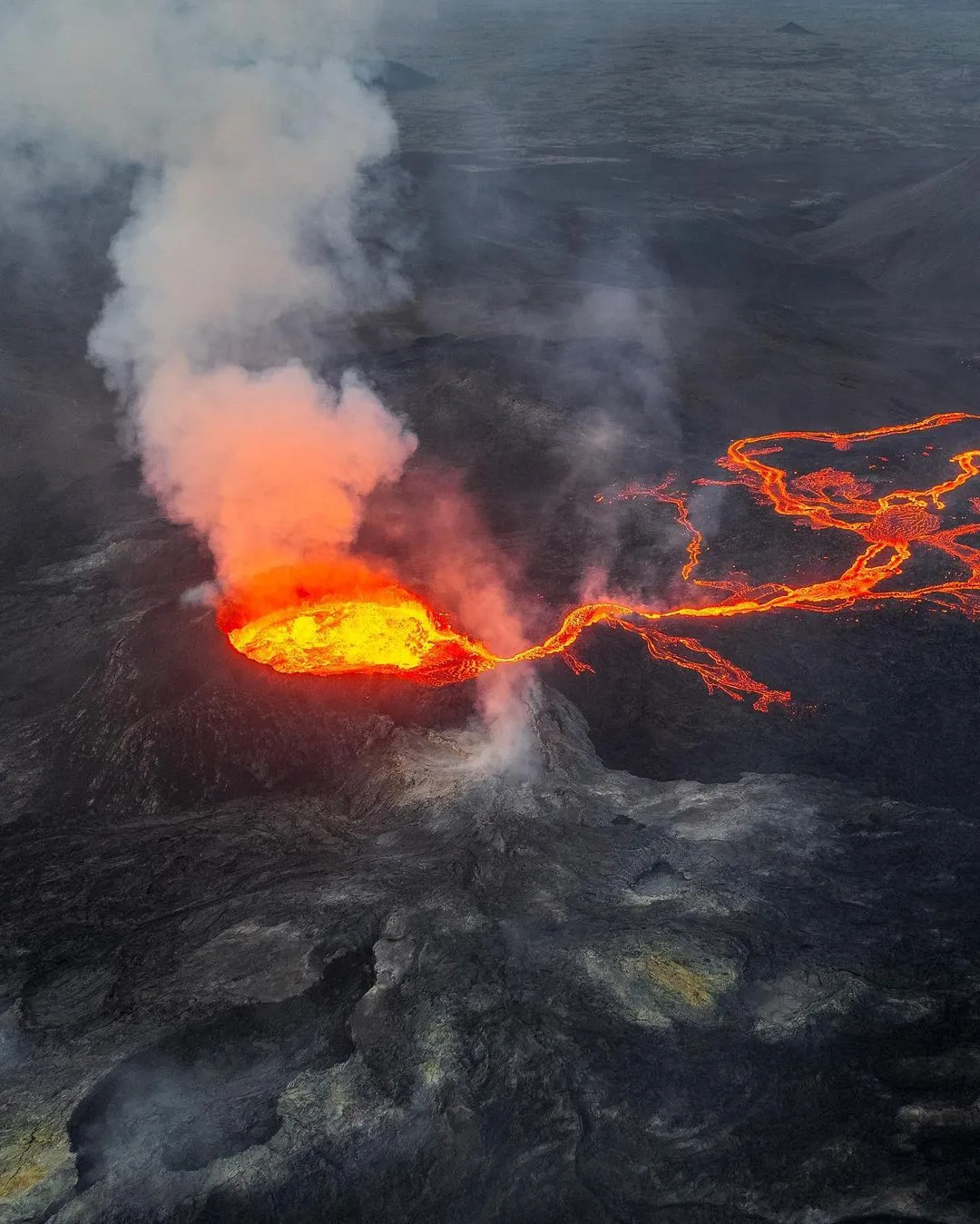 南华生物 2056年火山爆发将毁灭地球？这个猜测到底能有多大胆？