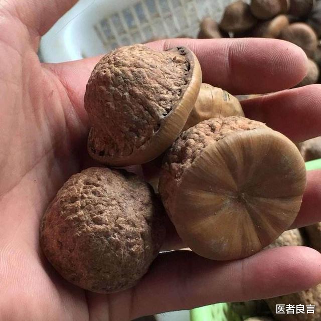 医者良言 农村有种风流果，用来泡酒对人体有什么作用？