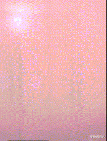 学姐说育儿|“小仙女的脚丫子,原来长着样啊?”终于窥见真容了哈哈哈