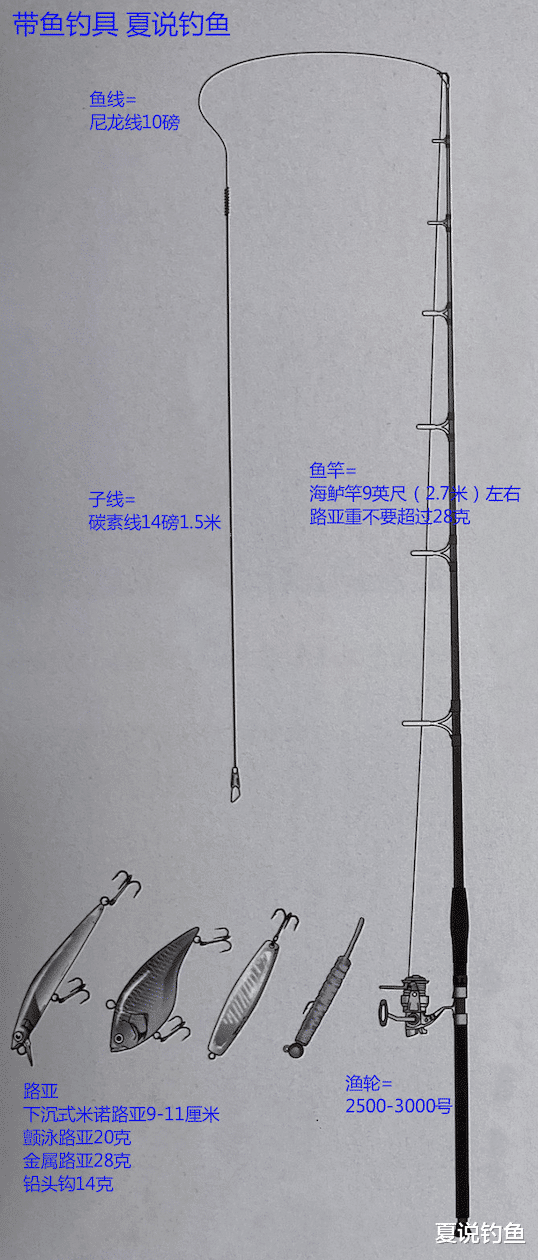 |[路亚钓] 重要钓法之带鱼钓法，日本专业钓鱼书籍