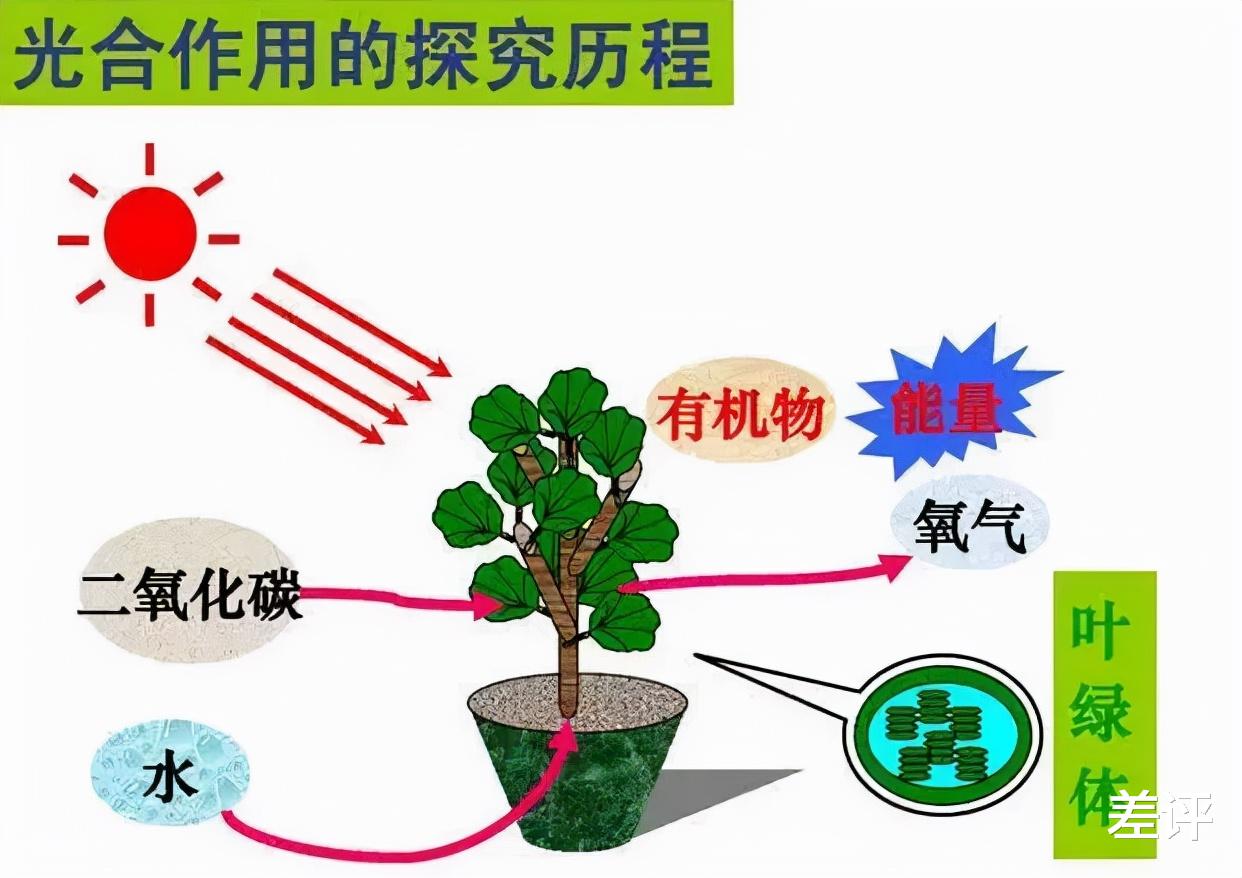 微生物 用二氧化碳合成淀粉？中国科学家今天靠这技术霸榜了科技圈