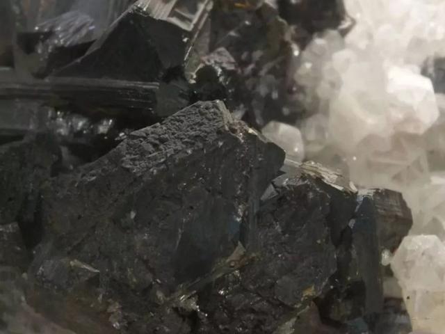 美国|中国不卖东西还不行？日本强烈不满，美国向WTO告状