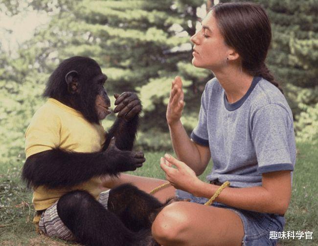 基因 疯狂的“人猿杂交”实验,曾有5名女性为科学献身,结果悲剧了!