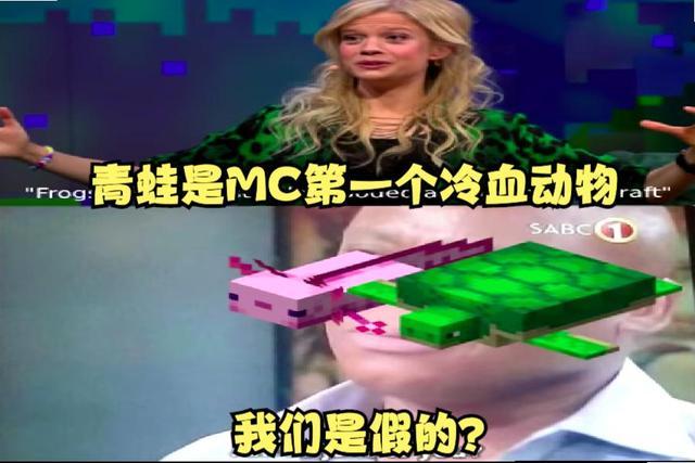 我的世界|我的世界：不同人眼里的游戏画面，一个满不在乎，一个冷汗狂冒