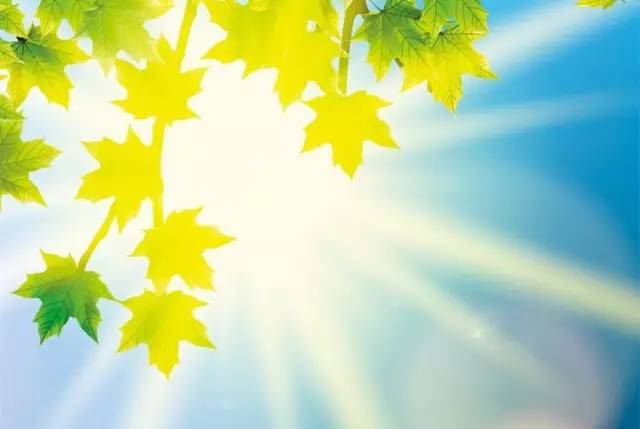 绘清社 货拉拉事件折射出的社会丛林法则,越是底层人,越容易互相伤害