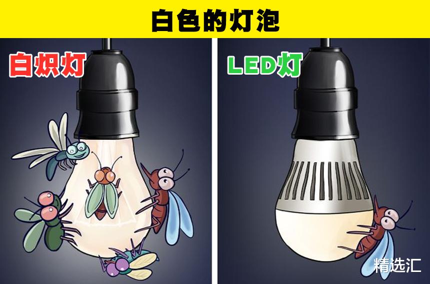 精选汇 你的家中可能成为虫子温床的8个地方