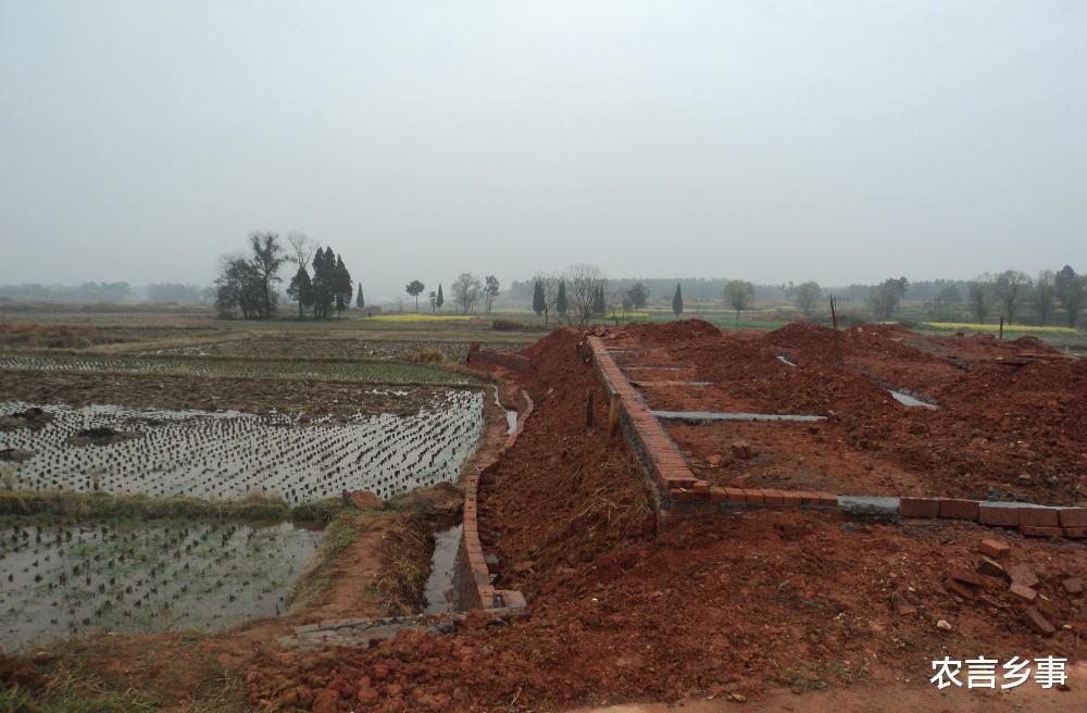 宅基地|村民朋友们，和农用地建房有关的问题，大家应以重视，不要乱占