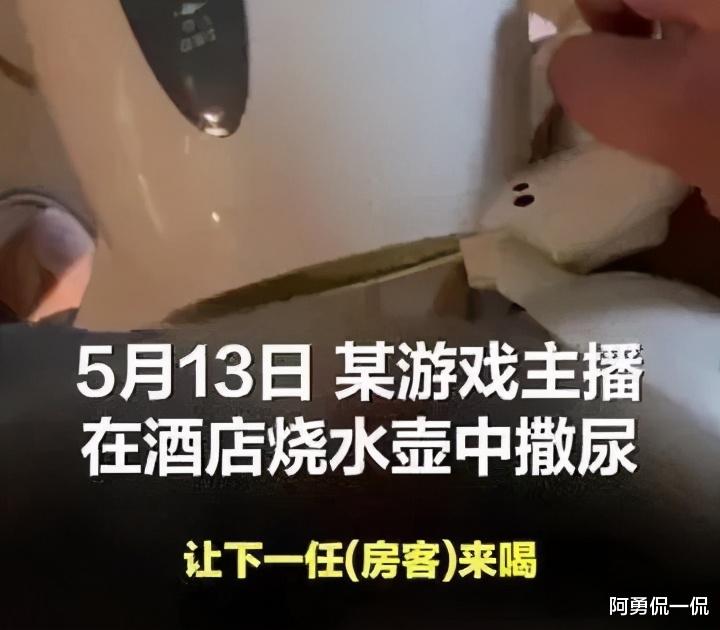阿勇侃一侃 百万粉丝主播酒店热水壶撒尿后续,被确认身份后,跪着向大众道歉