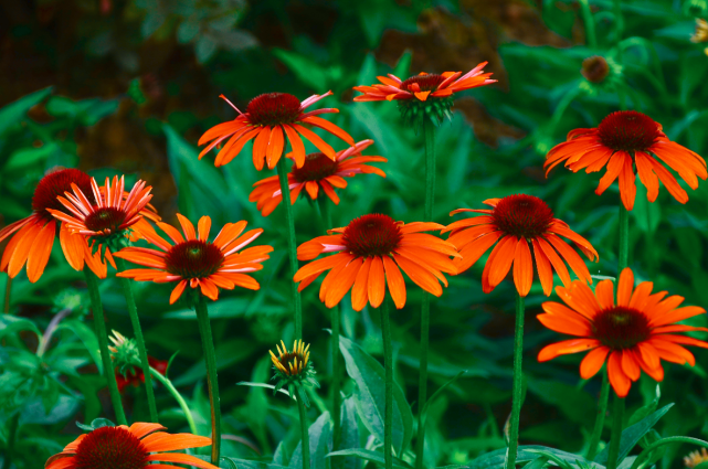 星座风水算命馆|未来3个月常能遇见贵人的生肖,好运加持,福来财到,喜气横生!