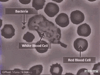 时尚好物官|敢于尝试“美容针”的女人，最后怎么样了？她们的心声很真实