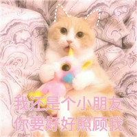 桉月|卖萌猫咪表情包