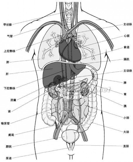 腾格尔|嗓音的奥秘：你需要听听的七个有趣事实