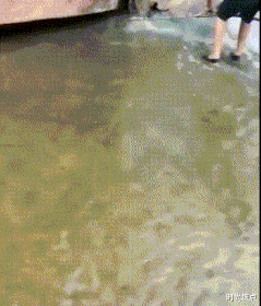 时尚炫点 “如何委婉问小姐姐是否是生理期?”