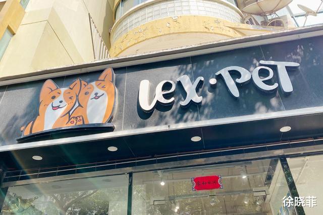 阿宅|时隔十个月，LEX被睿站解封，但是付出的代价有点大？