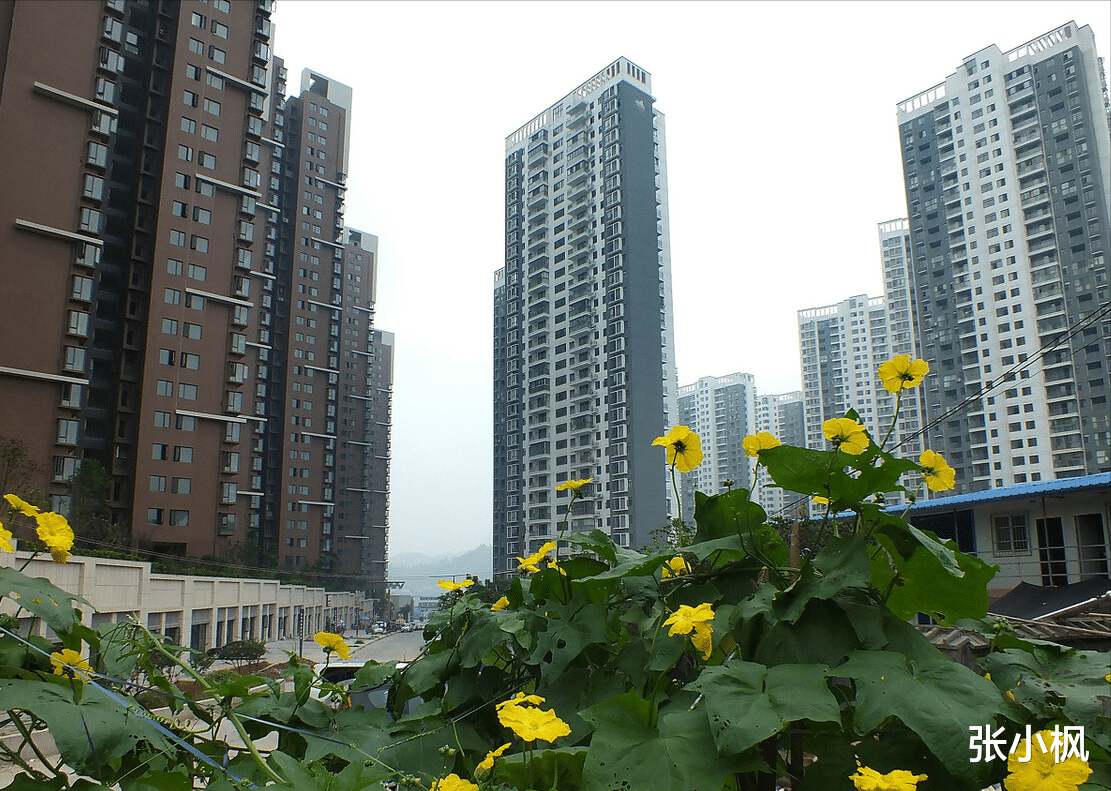 房贷|房贷还了一年，已经供不起了，转手卖需要还清贷款，怎么办？