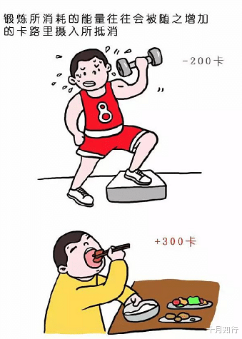 运动 保持500大卡的热量差，一个月就能瘦4斤？不，身体会对抗你的努力