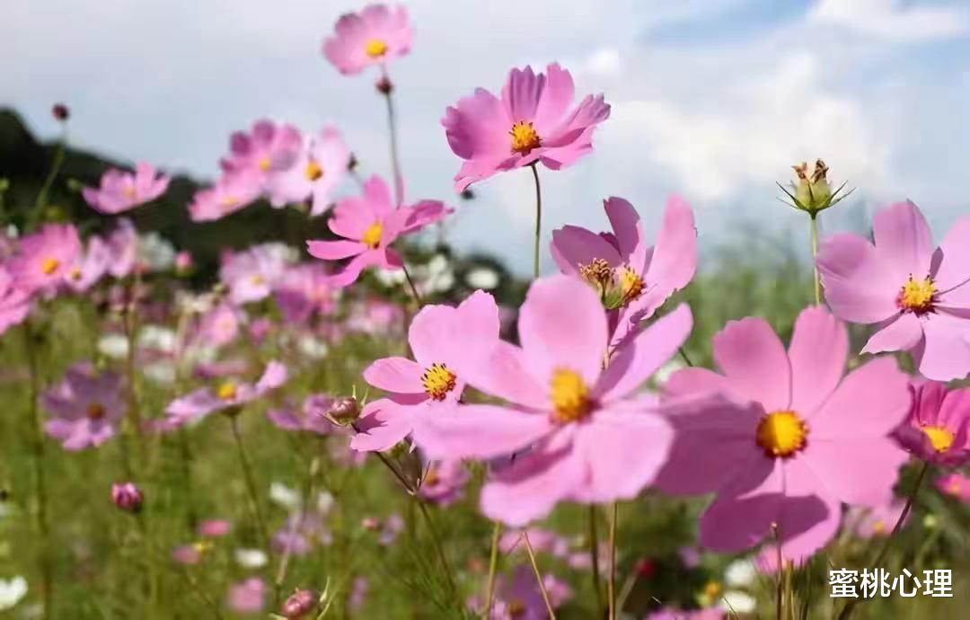 蜜桃心理|人到中年，夫妻感情再好，也不能有这4种\＂作死\＂行为