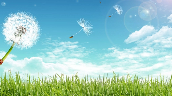 知一先生|2021年牛宝宝有福气的乳名大全, 有创意有寓意的小名