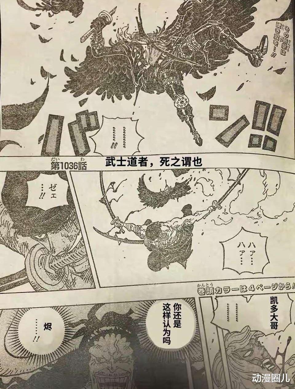 路飞|海贼王1036话：路飞战力已凌驾四皇之上，三王团形成横扫op世界！